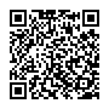QR code for LZL689