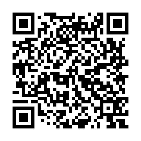 QR code for LZM976
