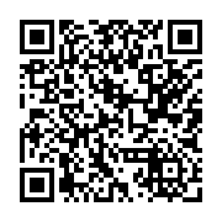 QR code for LZO996