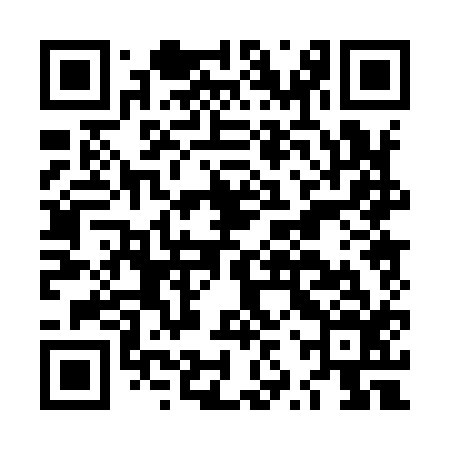 QR code for LZP916