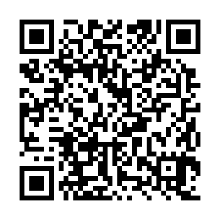 QR code for LZR385