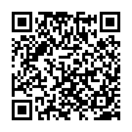 QR code for LZV204