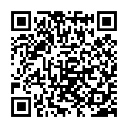 QR code for LZW498