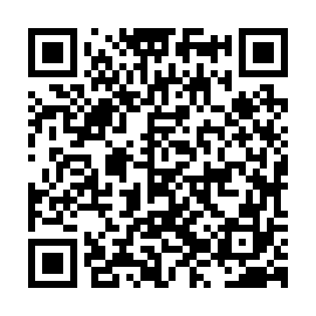 QR code for LZZ272