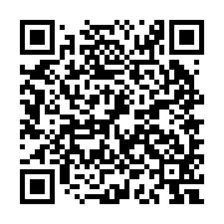 QR code for MAE293