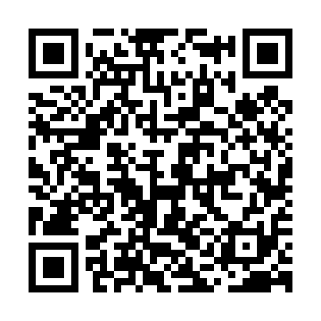 QR code for MAF411