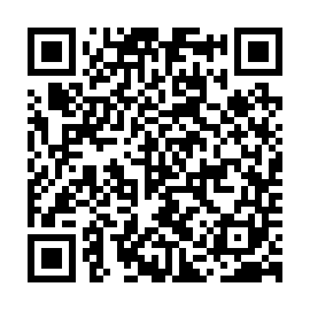 QR code for MAS241
