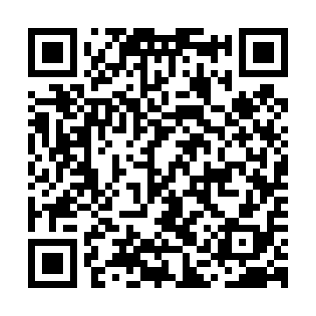 QR code for MAS418