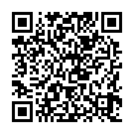 QR code for MAX389