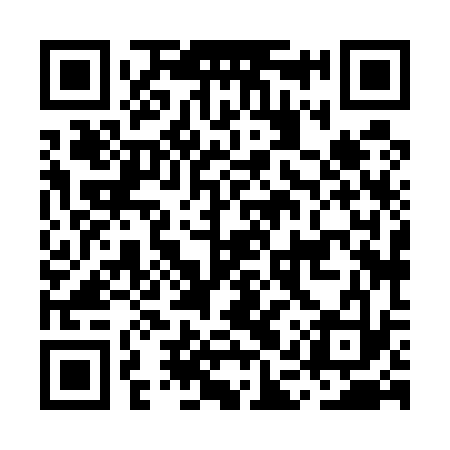 QR code for MAX533