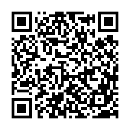 QR code for MCH666