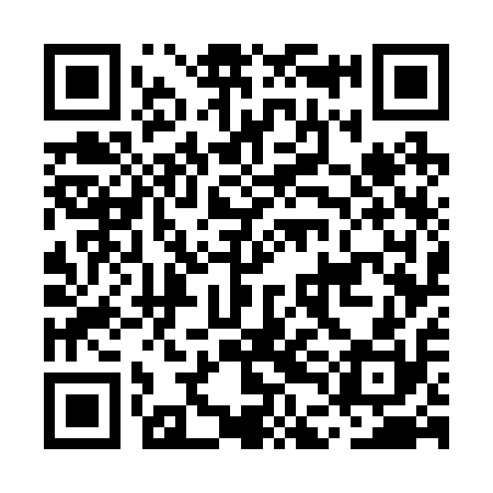 QR code for MDG210