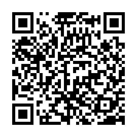 QR code for MDG309