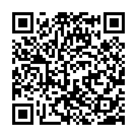 QR code for MDL038