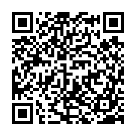 QR code for MDM667