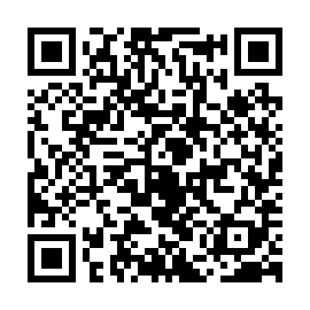 QR code for MEG289