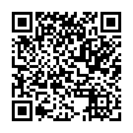 QR code for MEK319