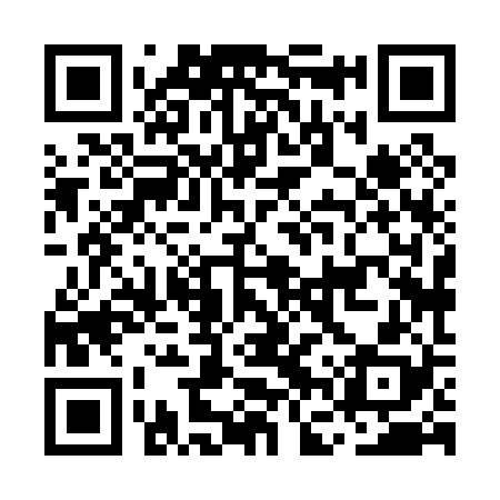 QR code for MFX028