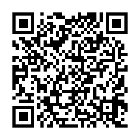 QR code for MIA919
