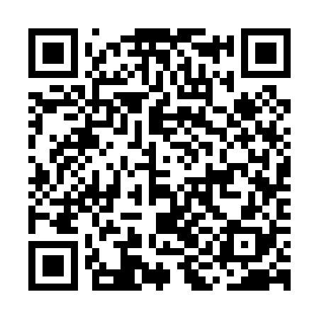 QR code for MIC028