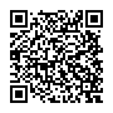 QR code for MIR545