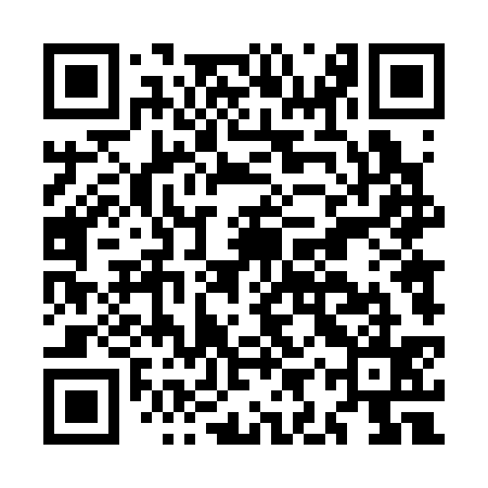 QR code for MIT335
