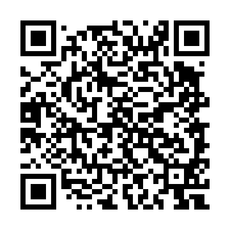 QR code for MIT490