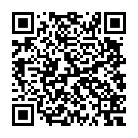QR code for MPV429