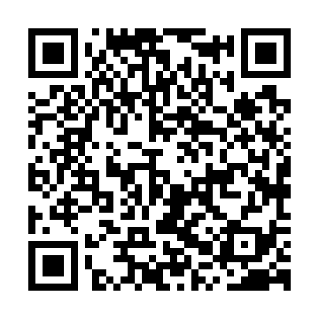 QR code for MPX739