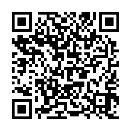 QR code for MQN313