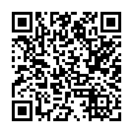 QR code for MRI291