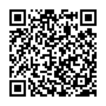 QR code for MSA691