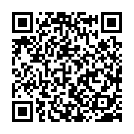 QR code for MSH338