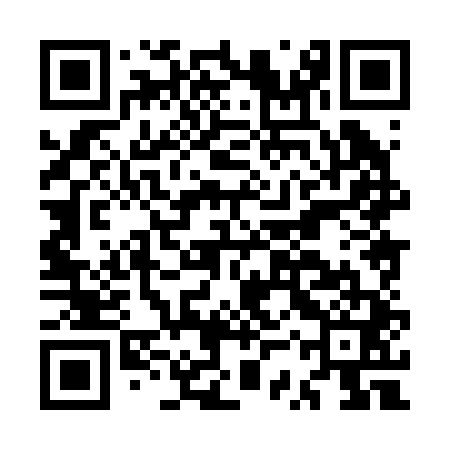 QR code for MSX241