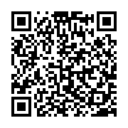 QR code for MXL398