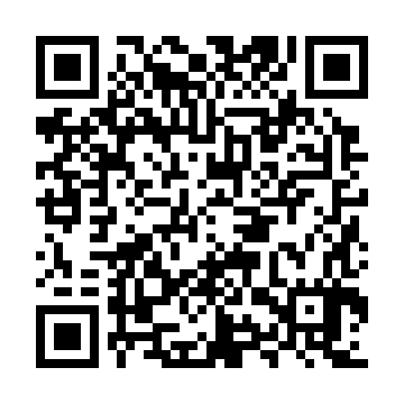 QR code for MYZ387