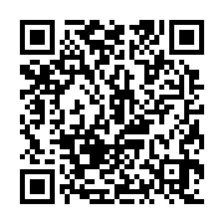 QR code for NAC333
