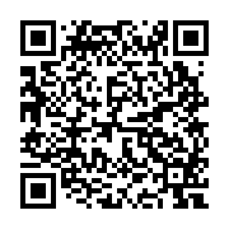 QR code for NAC384