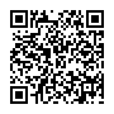 QR code for NDL959