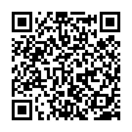 QR code for NEI419