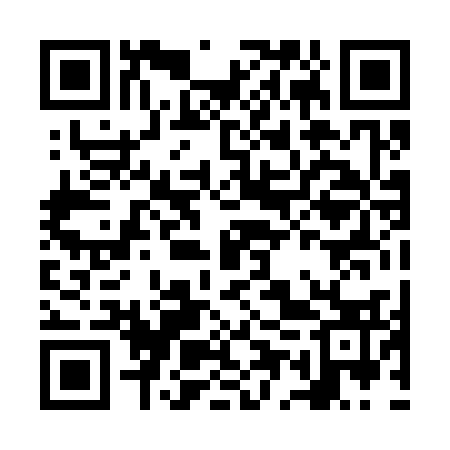 QR code for NEP333