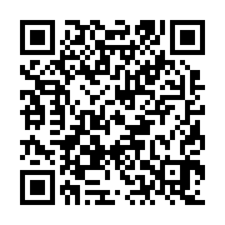 QR code for NES203