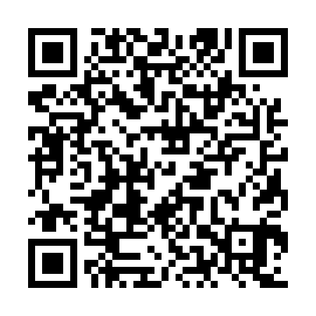 QR code for NES501