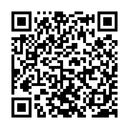 QR code for NES591