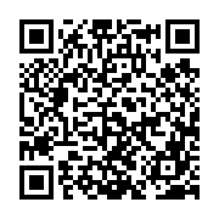 QR code for NET666