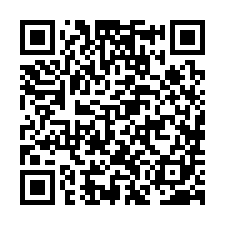 QR code for NGH381