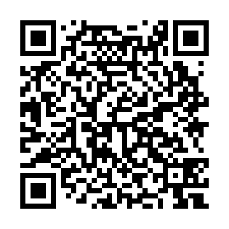 QR code for NII338