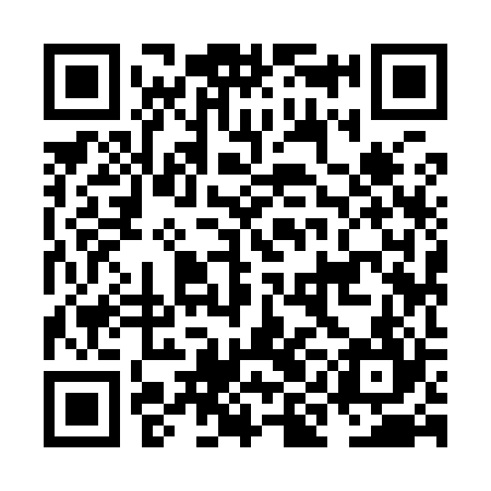 QR code for NII924