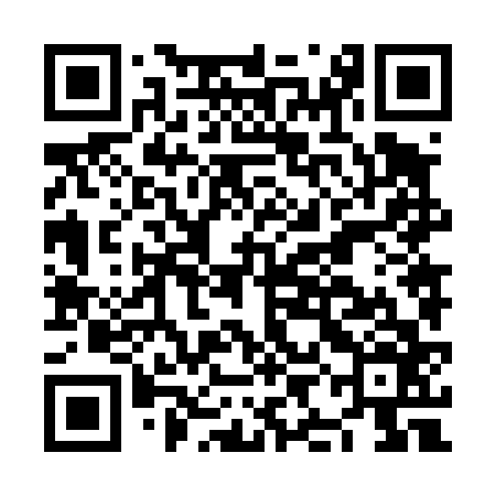 QR code for NIN466
