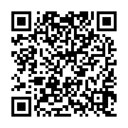 QR code for NIN917